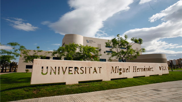 A Tâmara, protagonista da inovação alimentar saudável