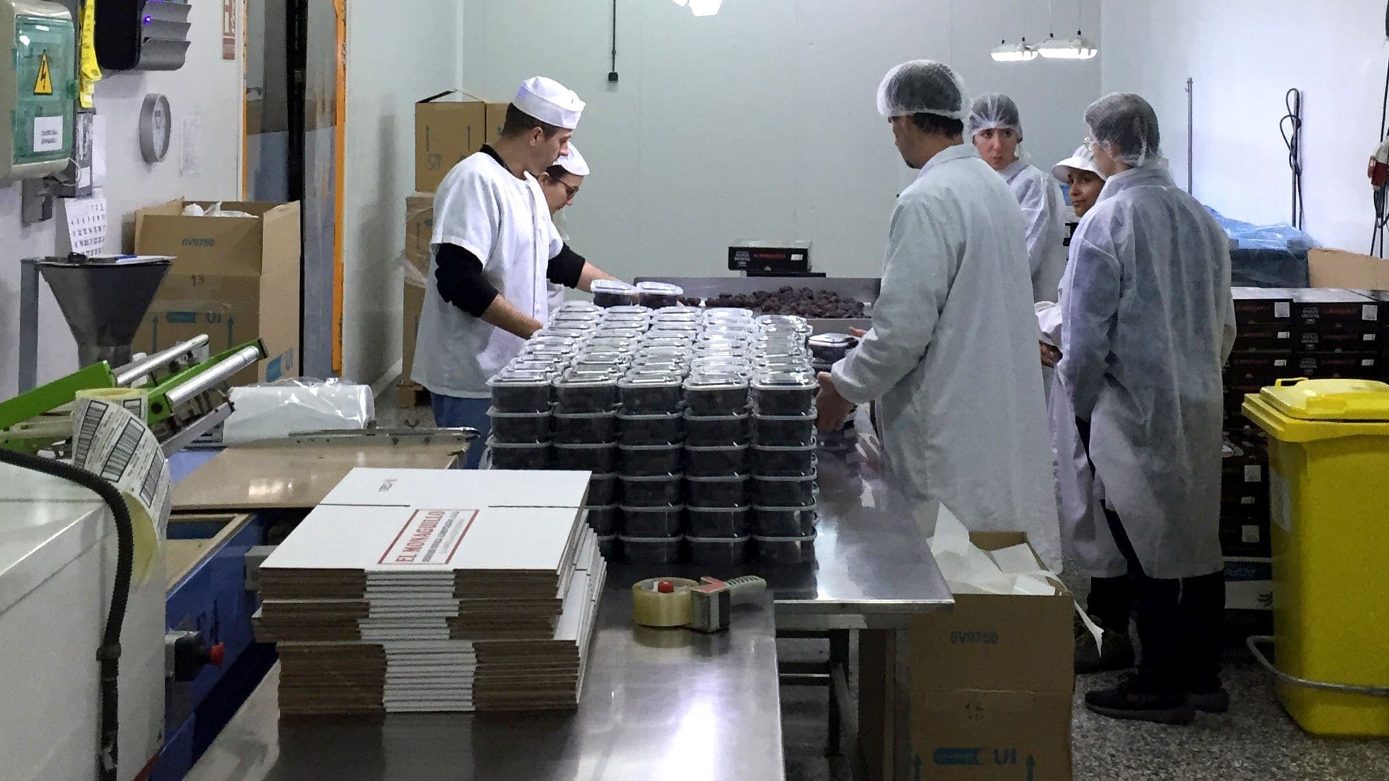 Dates Natural Sweetness for Celiac